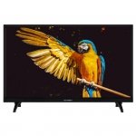 Telewizor GoGEN TVH24A336 24