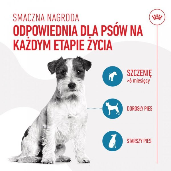 ROYAL CANIN Training Treat Dog 110g