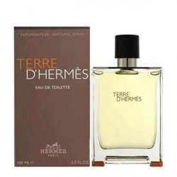 Hermes Terre d'Hermes Woda toaletowa 100 ml