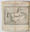 BEAUREGARD N[icolas] - Le Maréchal expert, Contenant un Traité du naturel & des marques des beaux & bons Chevaux, avec la maniere de connoître & guérir leurs maladies [...]. Avec douze Figures. Partie 1-2.