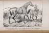 CARDINI F[rançois Joseph] - Dictionnaire d'hippiatrique et d'équitation, ouvrage ou se trouvent réunies toutes les connaissances hippigues. Deuxiéme édition, revue, corrigée, , augmentée de la moitié et ornée de 70 figures. T. 1-2.
