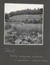 [OGRODNICTWO w Pillnitz - fotografie sytuacyjne i widokowe].