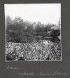 [DREZNO - fotografie sytuacyjne i widokowe].