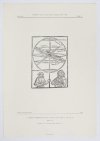 Polonia typographica saeculi sedecimi. Zbiór podobizn zasobu drukarskiego tłoczni polskich XVI stulecia. Zesz. 3: Pierwsza drukarnia Floriana Unglera 1510-1516.