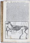 Ferraro  Pirro Antonio - Cavallo frenato [...] Diuiso in Quattro Libri. Con Discorsi Notabili, Sopra Briglie, Antiche, Moderne, adornato di bellissime figure [...]
