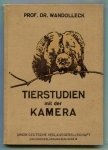 Wandolleck Benno - Tierstudien mit der Kamera. Mit 109 Abb.