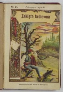 [Klocek] Zajmujące czytanki dla młodzieży: Zaklęta królewna. Baśń. Z czeskiego oprac. Antoszka