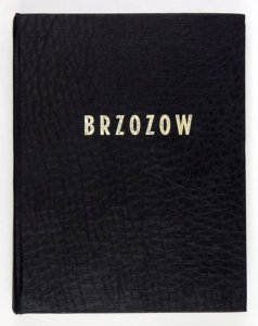 LEVITE Avraham - A Memorial to the Brzozow Community. Edityd by