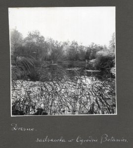 [DREZNO - fotografie sytuacyjne i widokowe].