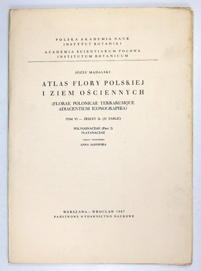 MĄDALSKI Józef - Atlas flory polskiej i ziem ościennych (Florae polonicae terrarumque adiacentium iconographia). T. 6, z. 5a (31 tablic): Polygonaceae (Pars 2) Platanaceae