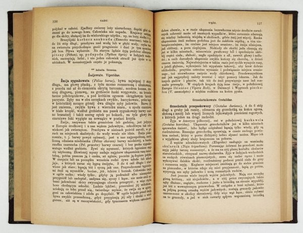 Nowicki M. - Zoologia dla szkół niższych gimnazyalnych i realnych