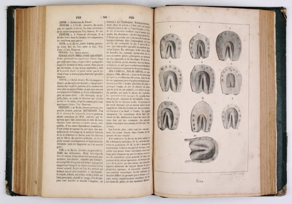 CARDINI F[rançois Joseph] - Dictionnaire d'hippiatrique et d'équitation, ouvrage ou se trouvent réunies toutes les connaissances hippigues. Deuxiéme édition, revue, corrigée, , augmentée de la moitié et ornée de 70 figures. T. 1-2.