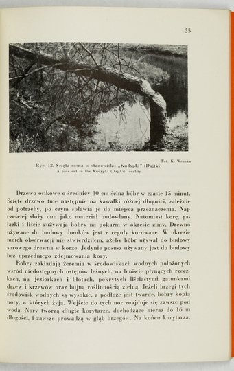 PANFIL Jan - Bóbr. Zwierzę ginące w Polsce. 22 ryciny.