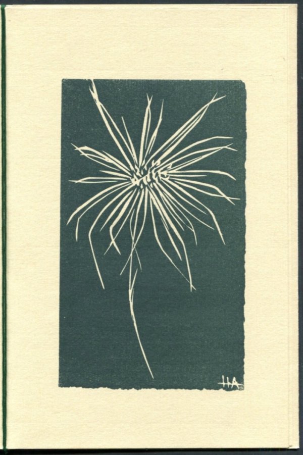 XI Ogólnopolski Festiwal Poezji Łódź 1976. Przesłanie poetyckie