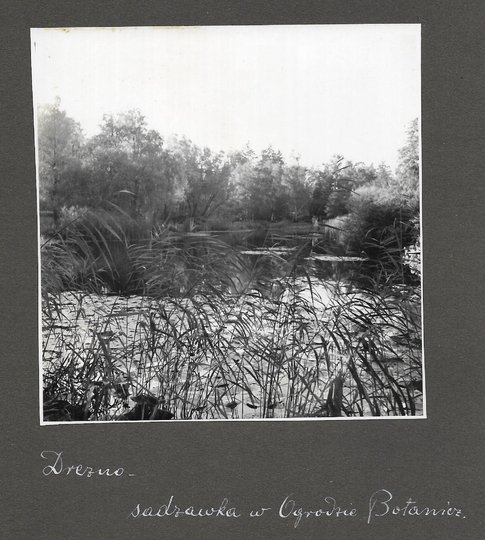 [DREZNO - fotografie sytuacyjne i widokowe].