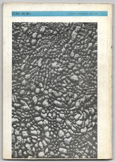 [MAZIARSKA Jadwiga - fotografia reliefu wykonanego w 1955, z odręczną dedykacją artystki].