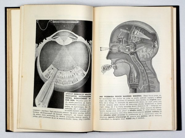 RZĄŚNICKI Adolf - Nowoczesna encyklopedia zdrowia. Pod red. ... T. 1-4.  1937-1939