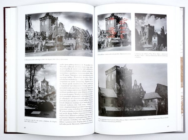 Wieża Klesza i Domek Dzwonnika na Zamku Wysokim w Malborku. Pod red. Janusza Hochleitnerai Mariusza Mierzwińskiego