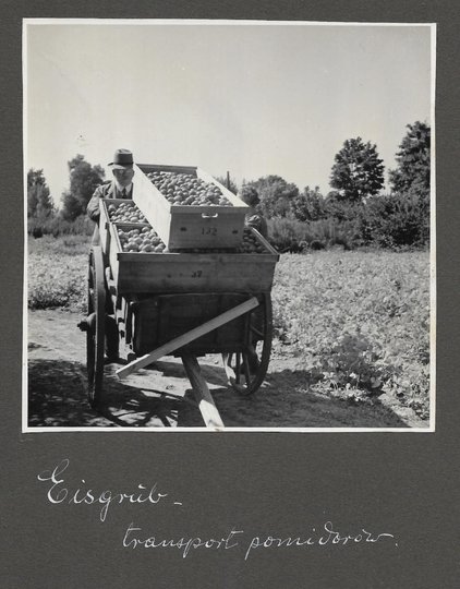 [OGRODNICTWO na terenach Tyrolu - fotografie sytuacyjne i widokowe].