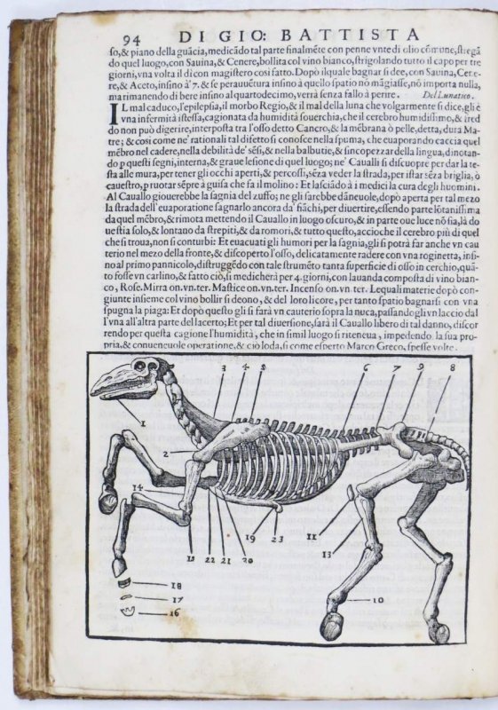 Ferraro  Pirro Antonio - Cavallo frenato [...] Diuiso in Quattro Libri. Con Discorsi Notabili, Sopra Briglie, Antiche, Moderne, adornato di bellissime figure [...]