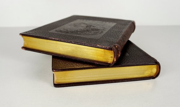 Les Amours de Ronsard. T.1-2. Choix présenté par Pierre d'Espezel. Eaux fortes de Paulette Humbert