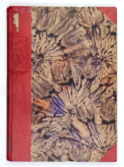 KOLONJE letnie Związku Obrony Kresów Zachodnich w roku 1928