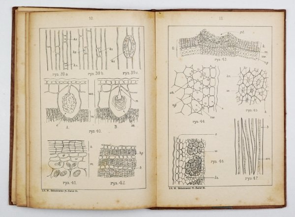 CZARTKOWSKI Adam - Ćwiczenia z anatomji roślin. [Cz.] 1-2. Oprac. ...