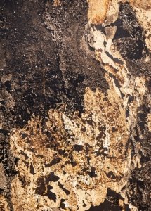 Fornir kamienny Autumn Rustic 122x61x0,2 cm Przezroczysty