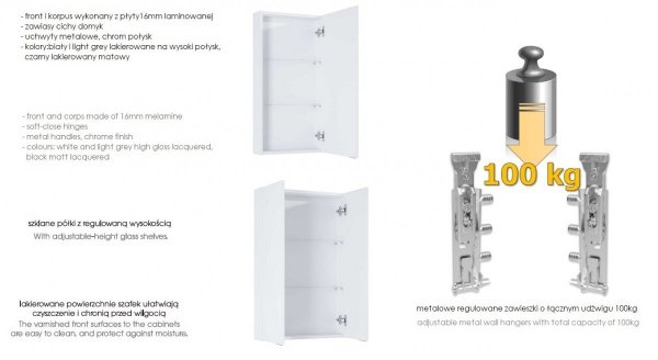 ELITA Szafka WISZĄCA FOR ALL 50 2D (12,6) WHITE HG 167407/RE140500068060