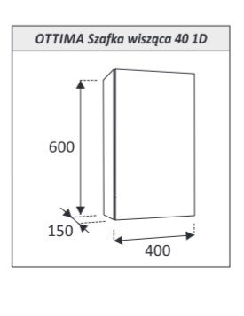 AQUAFORM - szafka łazienkowa wisząca z lustrem 1D 2S OTTIMA 40 biały połysk 40x60x15  AQ.401-1504011