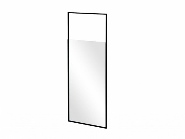 BESCO Ścianka walk-in Icon Black 100x200 IC-100-200C