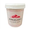 JOYPASTE MALINA 1,2kg