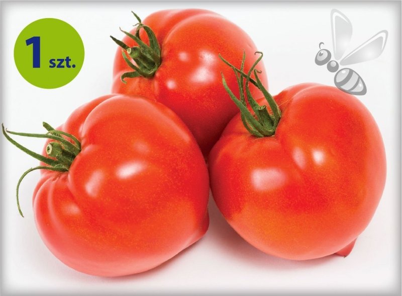 Pomidor szczepiony Cupidissimo bawole serce