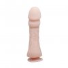 BAILE - The Big Penis, Vibration, Suction base