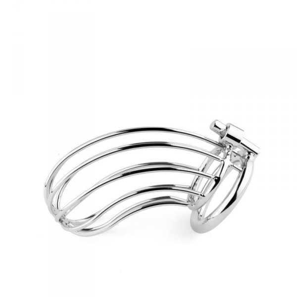 Metal Penis Cock Cage - Regular