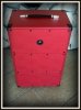 GOTOWA Obudowa do Kolumny 2x12 RED BRZOZA PIONOWA