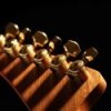 EXPLORER BS GUITARS