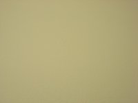 Tolex CREAM SATYNA 100X137 