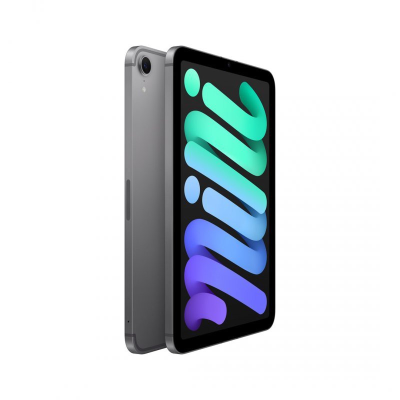Apple iPad mini 5G TD-LTE & FDD-LTE 128 GB 21,1 cm (8.3") Wi-Fi 6E (802.11ax) iPadOS 18 Szary