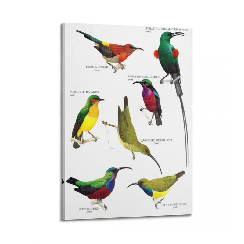 Samsung Galaxy A56 17 cm (6.7") Dual SIM Android 15 5G USB Type-C 8 GB 256 GB 5000 mAh Oliwkowy