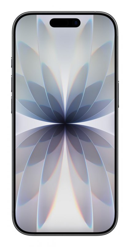 Apple iPhone 17 16 cm (6.3") Dual SIM iOS 26 5G USB Type-C 256 GB Czarny