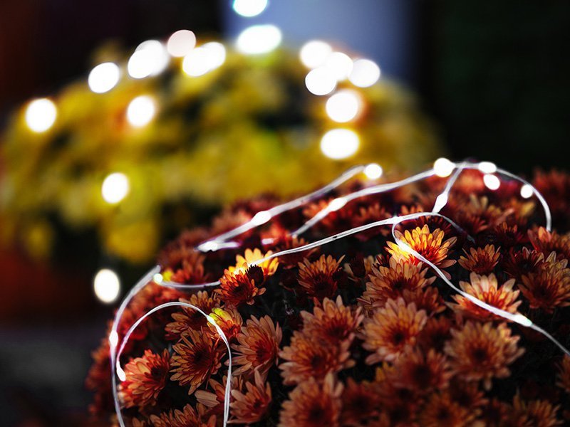 Girlanda kempingowa zwijana TRACER Lightlink