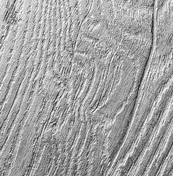 KRONOPOL - panele podłogowe D 3710 Orzech Zeus / Mars