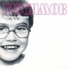 Fischmob - The Doors Of Passion (CD)