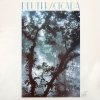 Deuter - Cicada (LP)