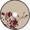 Never Shout Never - What Is Love? (CD)