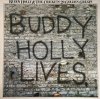 Buddy Holly & The Crickets - 20 Golden Greats (LP)
