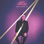 Milky Wishlake - Wait For Us (CD)