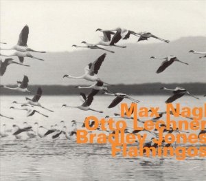 Max Nagl / Otto Lechner / Bradley Jones - Flamingos (CD)
