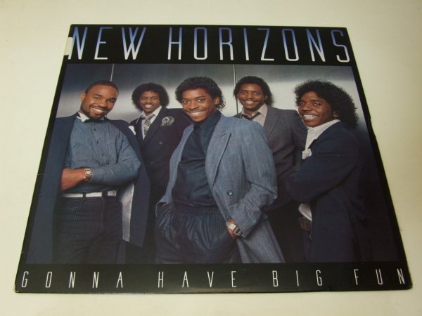 New Horizons - Gonna Have Big Fun (LP)